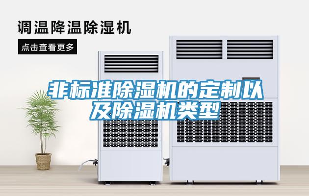 非標(biāo)準(zhǔn)除濕機(jī)的定制以及除濕機(jī)類(lèi)型