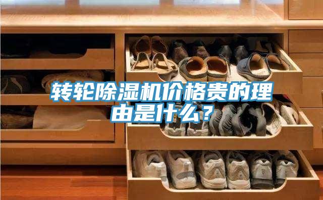 轉輪除濕機價格貴的理由是什么？