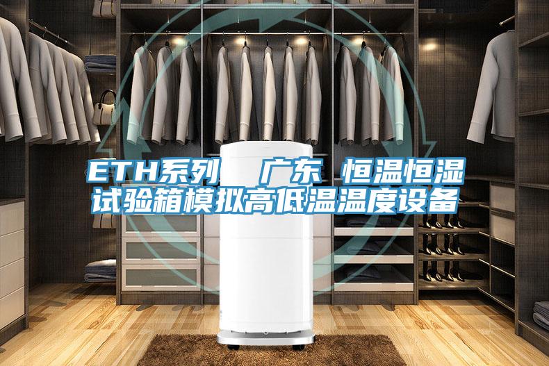 ETH系列  廣東 恒溫恒濕試驗(yàn)箱模擬高低溫溫度設(shè)備