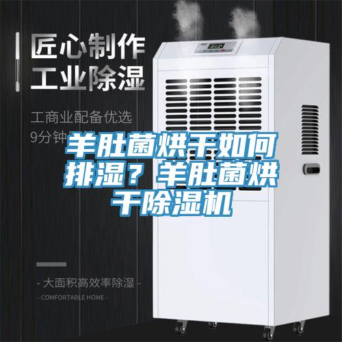 羊肚菌烘干如何排濕？羊肚菌烘干除濕機