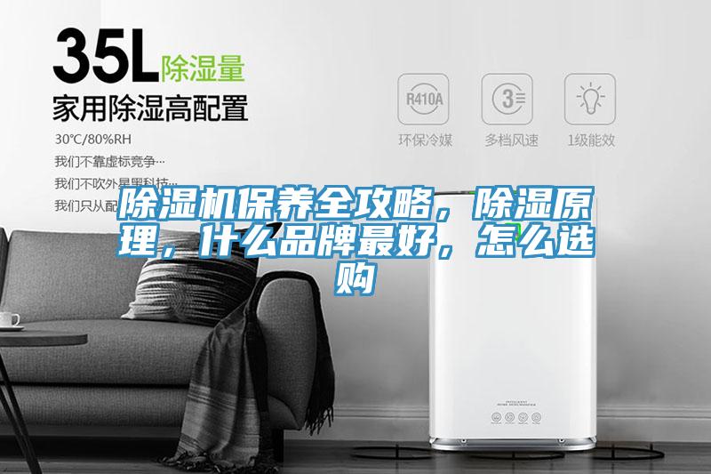 除濕機保養(yǎng)全攻略，除濕原理，什么品牌最好，怎么選購