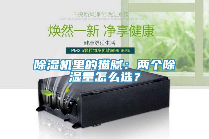 除濕機里的貓膩：兩個除濕量怎么選？