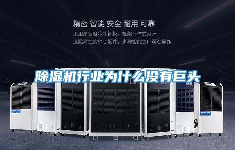 除濕機行業(yè)為什么沒有巨頭