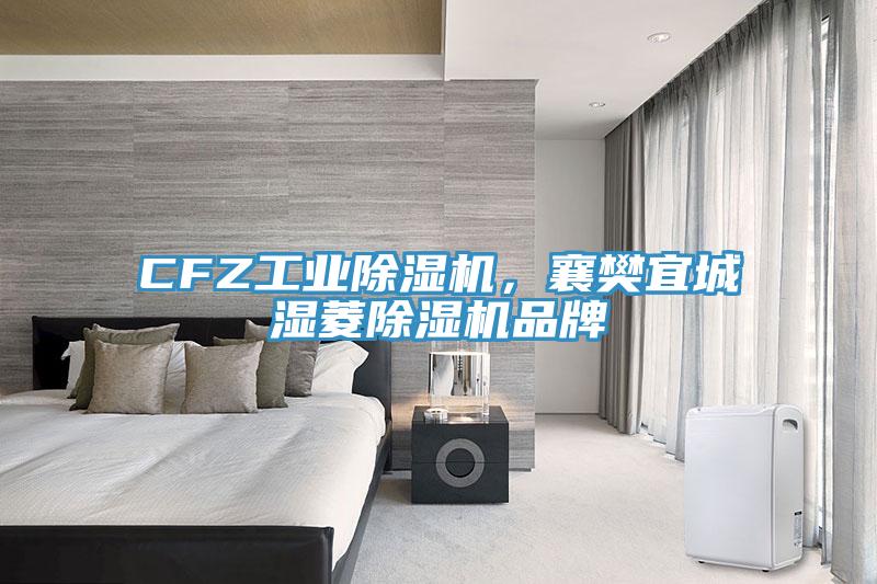 CFZ工業(yè)除濕機(jī)，襄樊宜城濕菱除濕機(jī)品牌