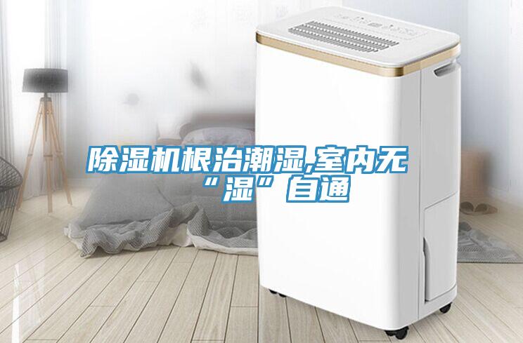 除濕機根治潮濕,室內無“濕”自通