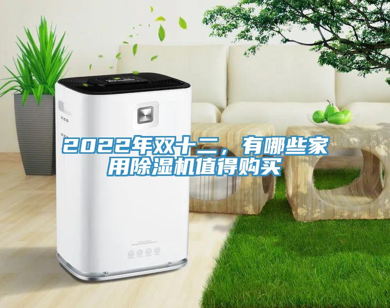 2022年雙十二，有哪些家用除濕機(jī)值得購買