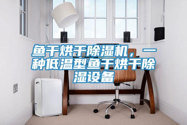 魚干烘干除濕機，一種低溫型魚干烘干除濕設(shè)備