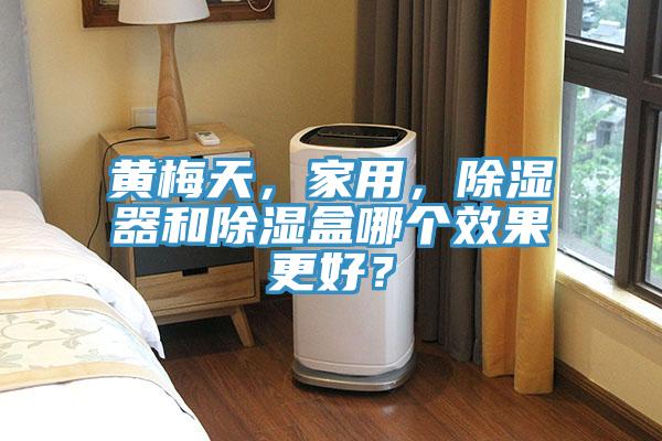 黃梅天，家用，除濕器和除濕盒哪個(gè)效果更好？