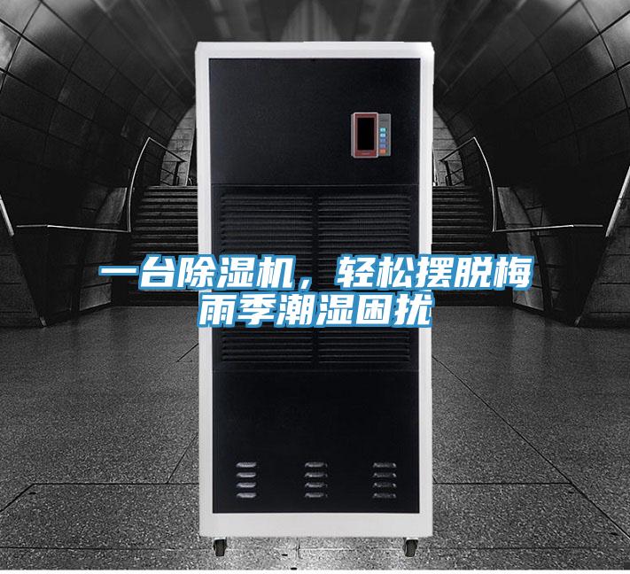 一臺除濕機，輕松擺脫梅雨季潮濕困擾