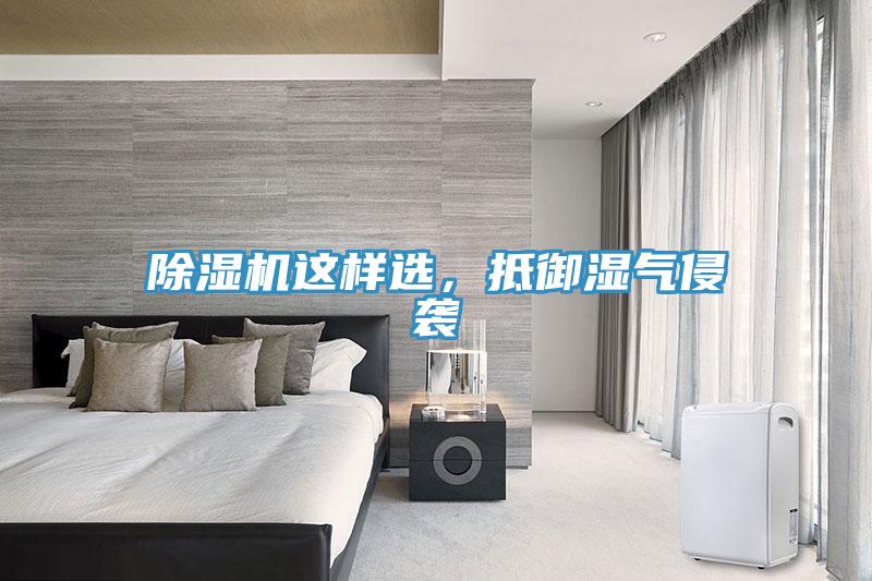 除濕機這樣選，抵御濕氣侵襲