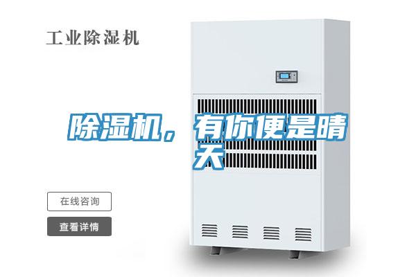 除濕機(jī)，有你便是晴天