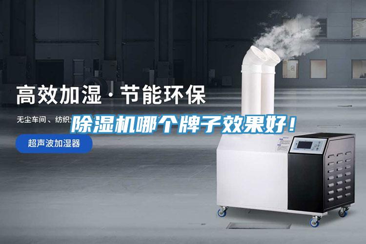 除濕機哪個牌子效果好！