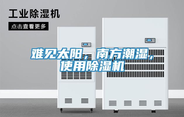難見太陽，南方潮濕，使用除濕機(jī)