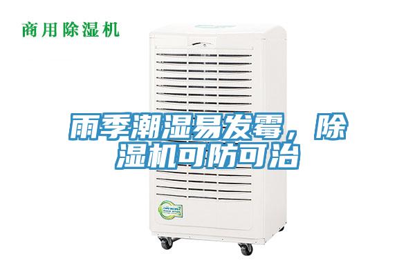 雨季潮濕易發(fā)霉，除濕機(jī)可防可治