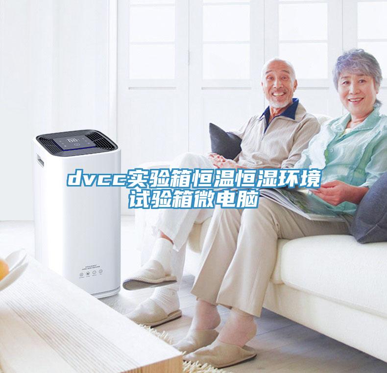 dvcc實(shí)驗(yàn)箱恒溫恒濕環(huán)境試驗(yàn)箱微電腦