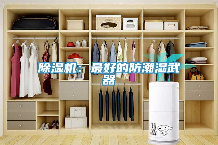 除濕機(jī)：最好的防潮濕武器