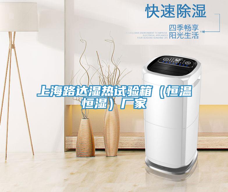上海路達(dá)濕熱試驗(yàn)箱（恒溫恒濕）廠家