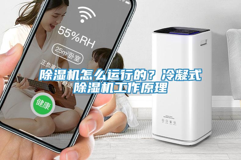 除濕機怎么運行的？冷凝式除濕機工作原理