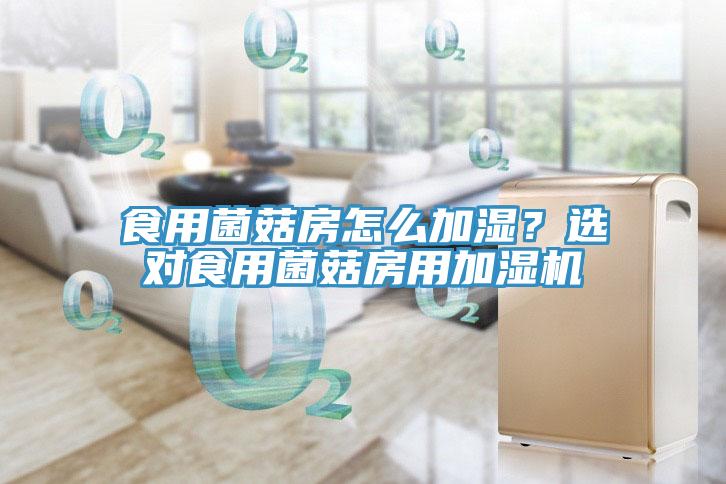 食用菌菇房怎么加濕？選對食用菌菇房用加濕機
