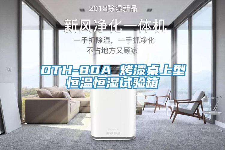 DTH-80A 烤漆桌上型恒溫恒濕試驗(yàn)箱