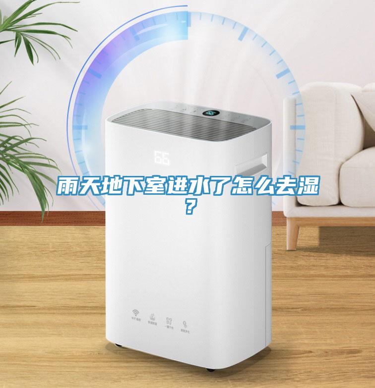 雨天地下室進(jìn)水了怎么去濕？