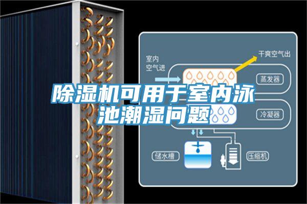 除濕機(jī)可用于室內(nèi)泳池潮濕問(wèn)題
