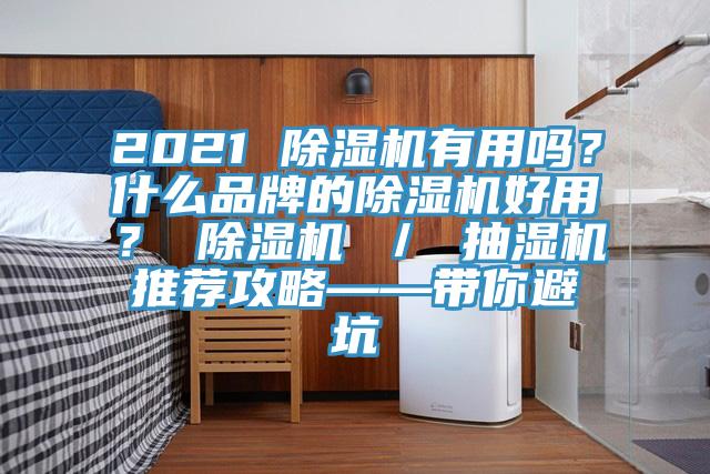 2021 除濕機有用嗎？什么品牌的除濕機好用？ 除濕機 ／ 抽濕機推薦攻略——帶你避坑