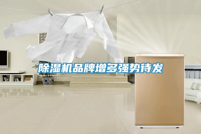 除濕機品牌增多強勢待發(fā)