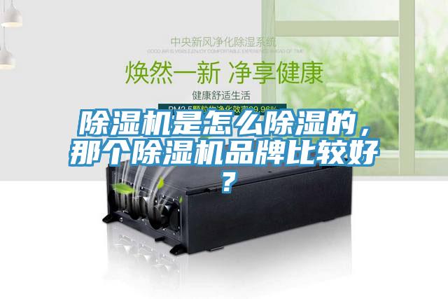除濕機(jī)是怎么除濕的，那個(gè)除濕機(jī)品牌比較好？