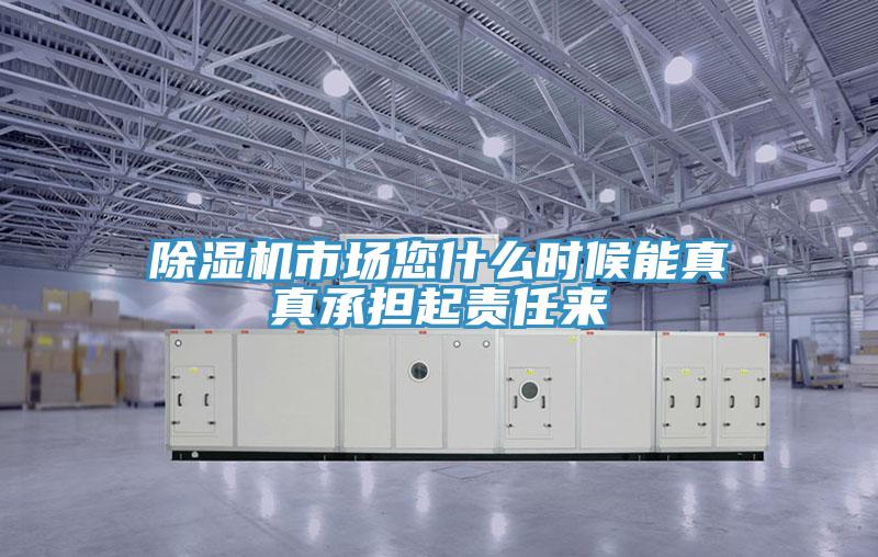 除濕機(jī)市場(chǎng)您什么時(shí)候能真真承擔(dān)起責(zé)任來