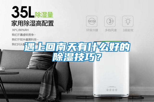 遇上回南天有什么好的除濕技巧？