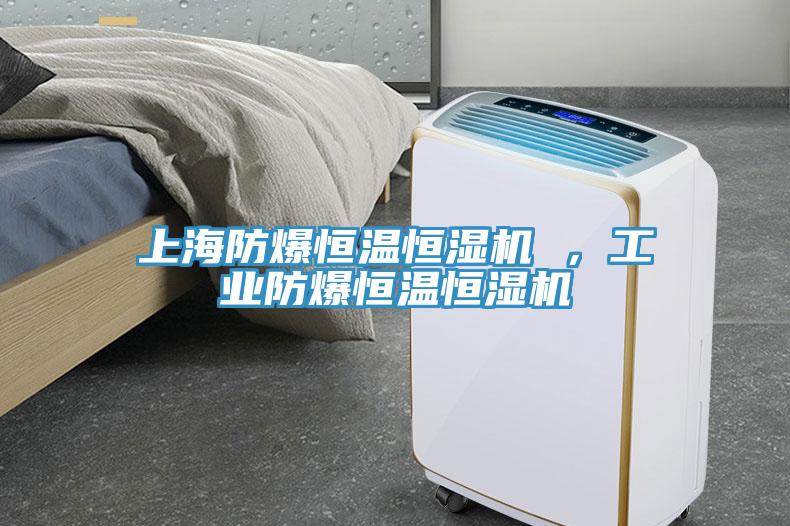 上海防爆恒溫恒濕機(jī) ，工業(yè)防爆恒溫恒濕機(jī)
