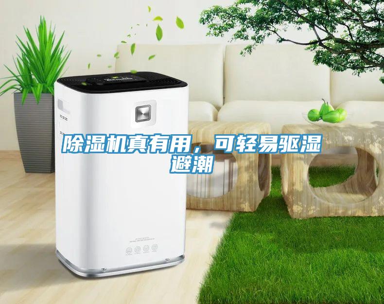 除濕機(jī)真有用，可輕易驅(qū)濕避潮