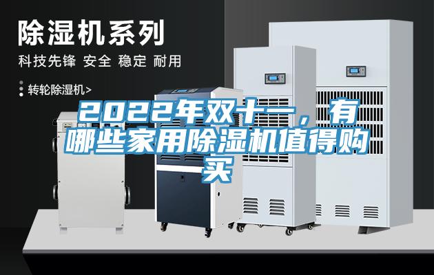 2022年雙十一，有哪些家用除濕機(jī)值得購買