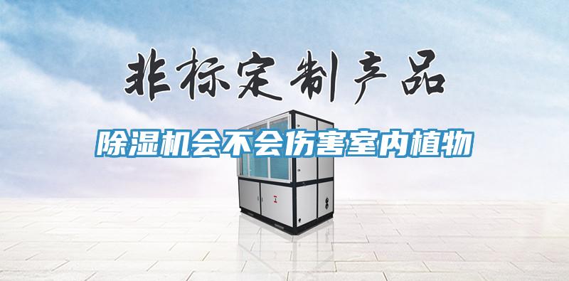 除濕機(jī)會(huì)不會(huì)傷害室內(nèi)植物