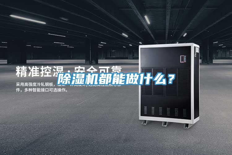 除濕機(jī)都能做什么？