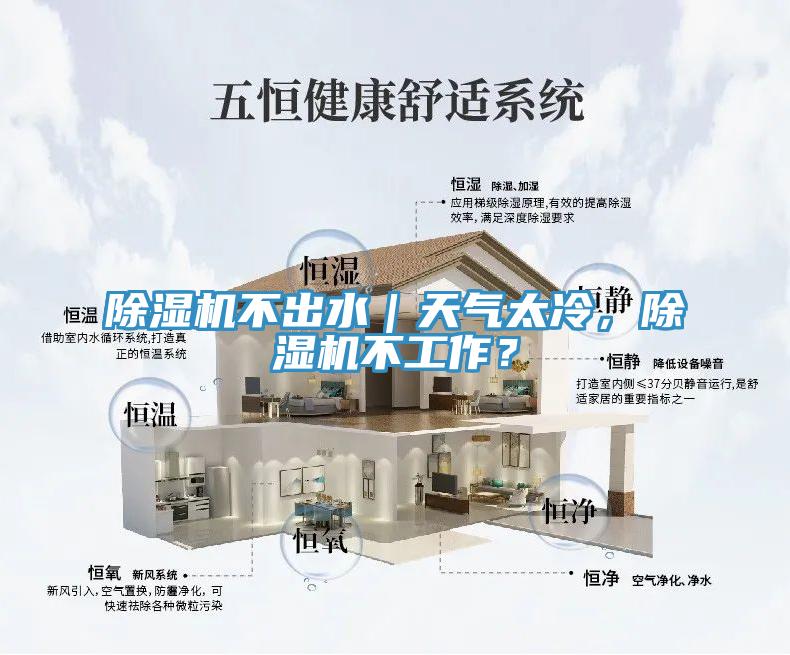 除濕機不出水｜天氣太冷，除濕機不工作？