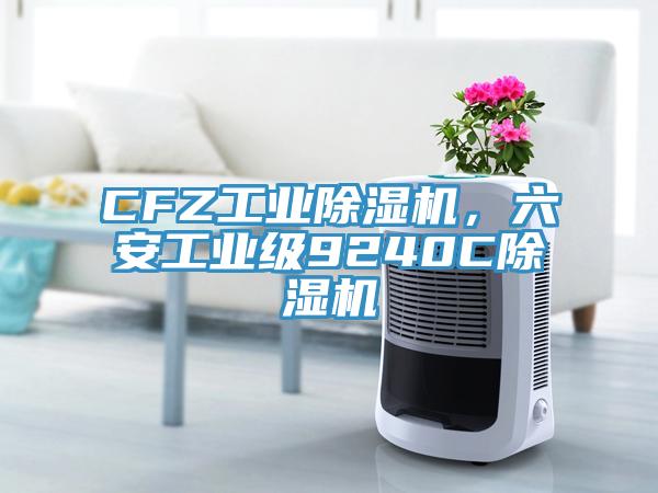 CFZ工業(yè)除濕機(jī)，六安工業(yè)級(jí)9240C除濕機(jī)