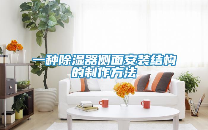 一種除濕器側(cè)面安裝結(jié)構的制作方法