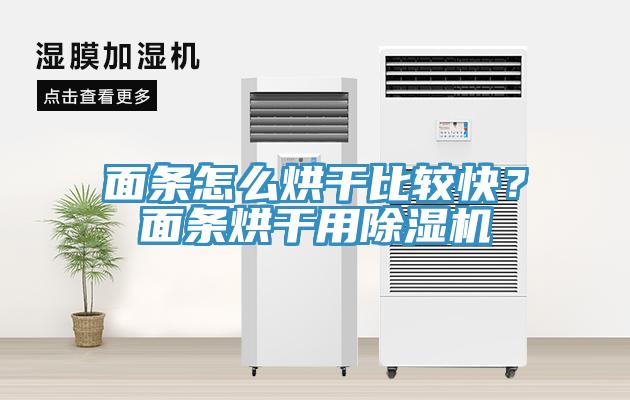 面條怎么烘干比較快？面條烘干用除濕機(jī)