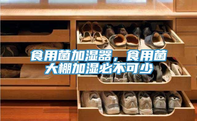 食用菌加濕器，食用菌大棚加濕必不可少