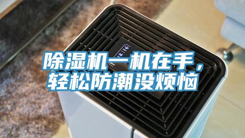 除濕機一機在手，輕松防潮沒煩惱