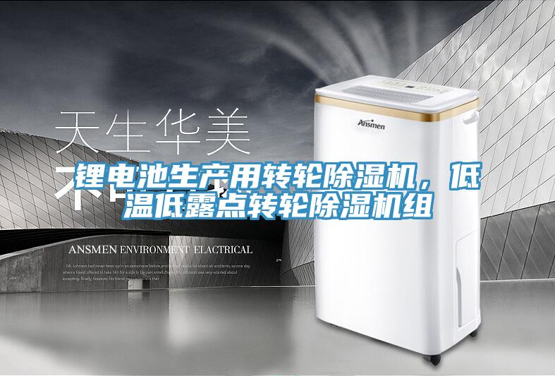 鋰電池生產(chǎn)用轉(zhuǎn)輪除濕機(jī)，低溫低露點(diǎn)轉(zhuǎn)輪除濕機(jī)組