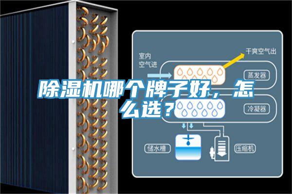 除濕機哪個牌子好，怎么選？