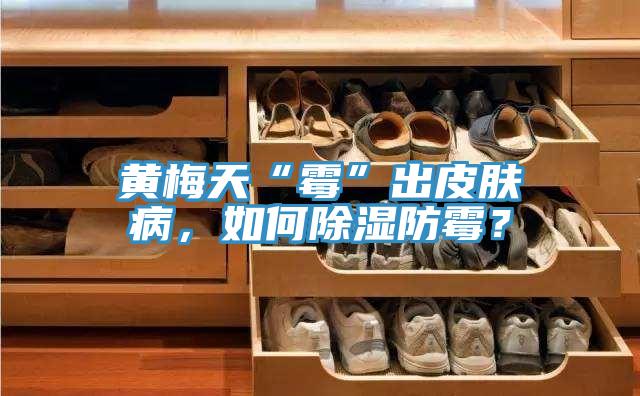 黃梅天“霉”出皮膚病，如何除濕防霉？