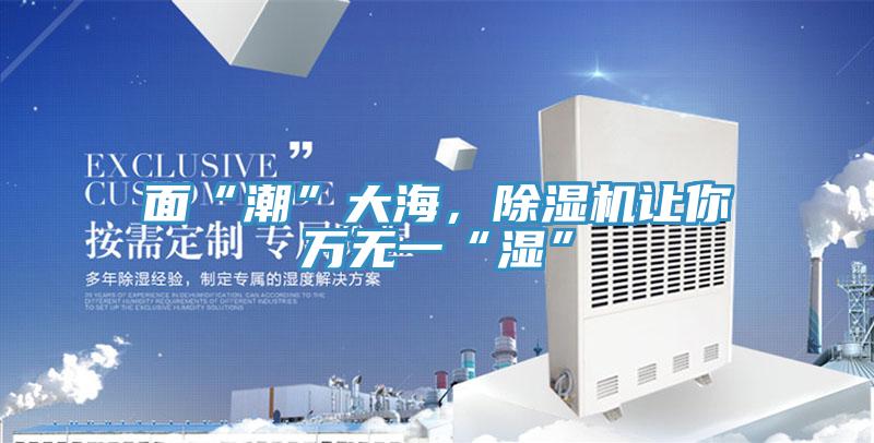 面“潮”大海，除濕機(jī)讓你萬無一“濕”