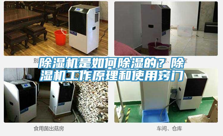 除濕機(jī)是如何除濕的？除濕機(jī)工作原理和使用竅門