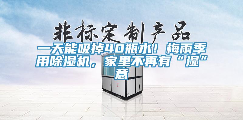 一天能吸掉40瓶水！梅雨季用除濕機，家里不再有“濕”意