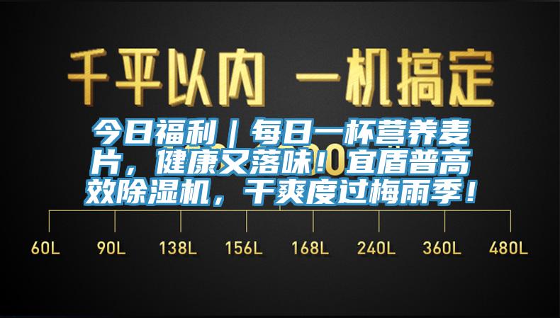 今日福利｜每日一杯營(yíng)養(yǎng)麥片，健康又落味！宜盾普高效除濕機(jī)，干爽度過(guò)梅雨季！