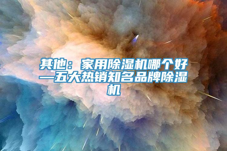 其他：家用除濕機(jī)哪個好—五大熱銷知名品牌除濕機(jī)